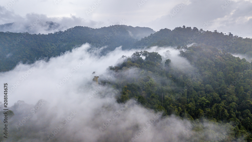 Aerial view of mist, cloud and fog hanging over a lush tropical rainforest after a storm