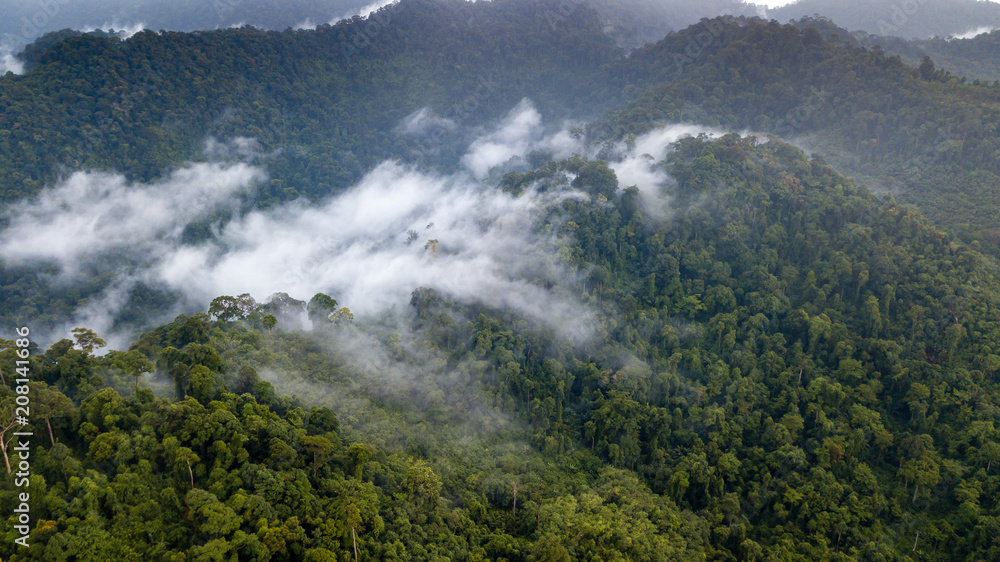 Aerial view of mist, cloud and fog hanging over a lush tropical rainforest after a storm Aerial view of mist, cloud and fog hanging over a lush tropical rainforest after a storm