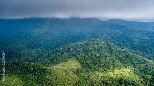 Aerial view of palm oil and date plantations hacked out of a tropical rain forest
