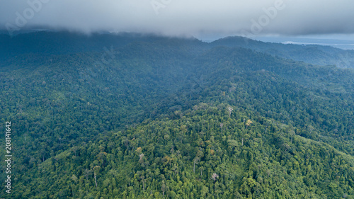 Aerial drone view of a cloudy tropical rain forest