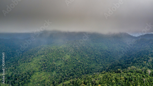 Aerial drone view of a cloudy tropical rain forest © whitcomberd
