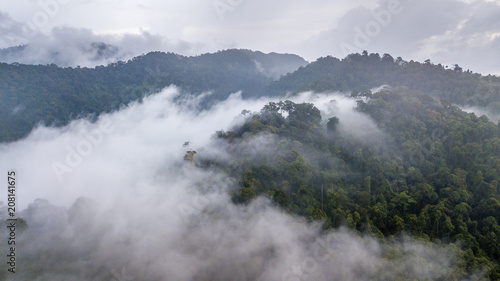 Aerial view of mist, cloud and fog hanging over a lush tropical rainforest after a storm © whitcomberd