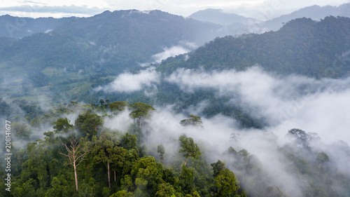 Aerial view of mist, cloud and fog hanging over a lush tropical rainforest after a storm