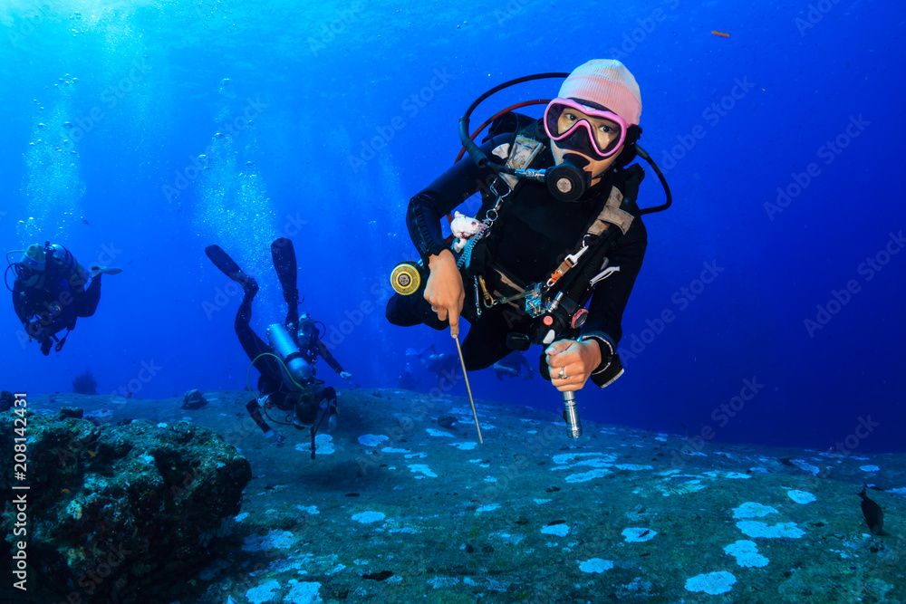 Female SCUBA diver swimming over a colorful, healthy tropical coral reef Female SCUBA diver swimming over a colorful, healthy tropical coral reef