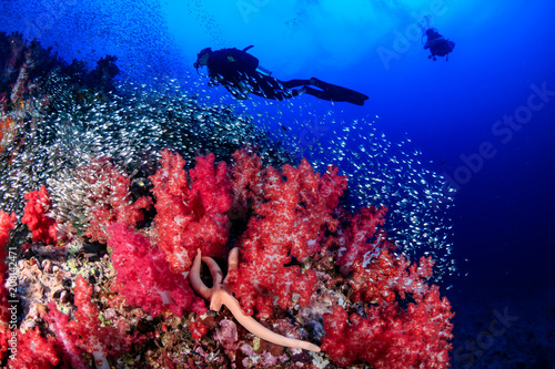 SCUBA diver swimming over a tropical coral reef