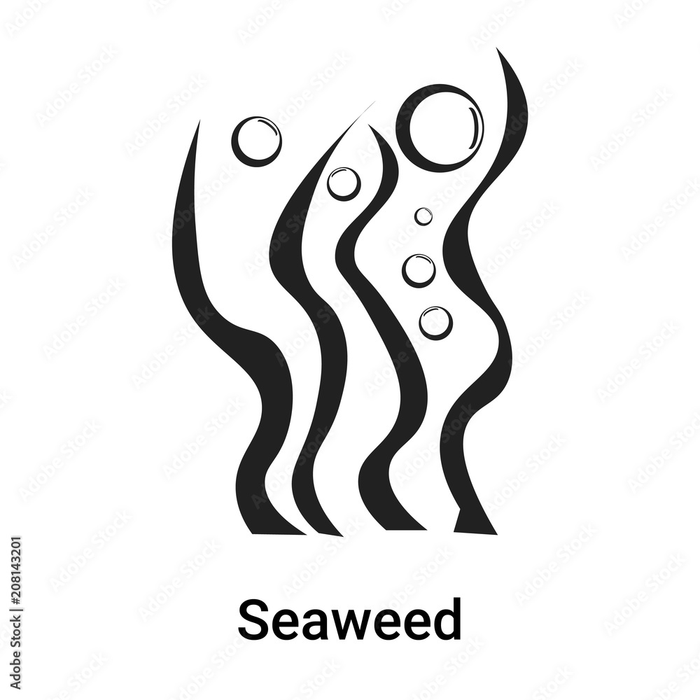 Obraz premium Seaweed icon vector sign and symbol isolated on white background, Seaweed logo concept