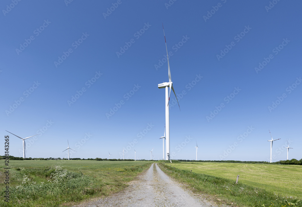 Windparkanlage auf dem flachen Land mit Feldweg
