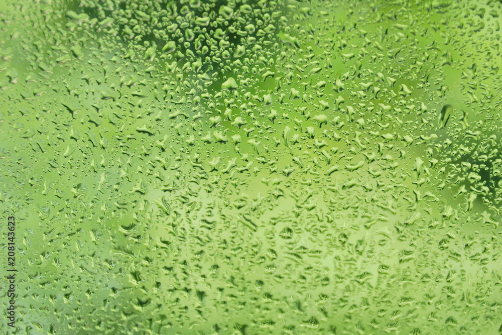 summer rain drops on window glass fresh green background texture summer rain drops on window glass fresh green background texture