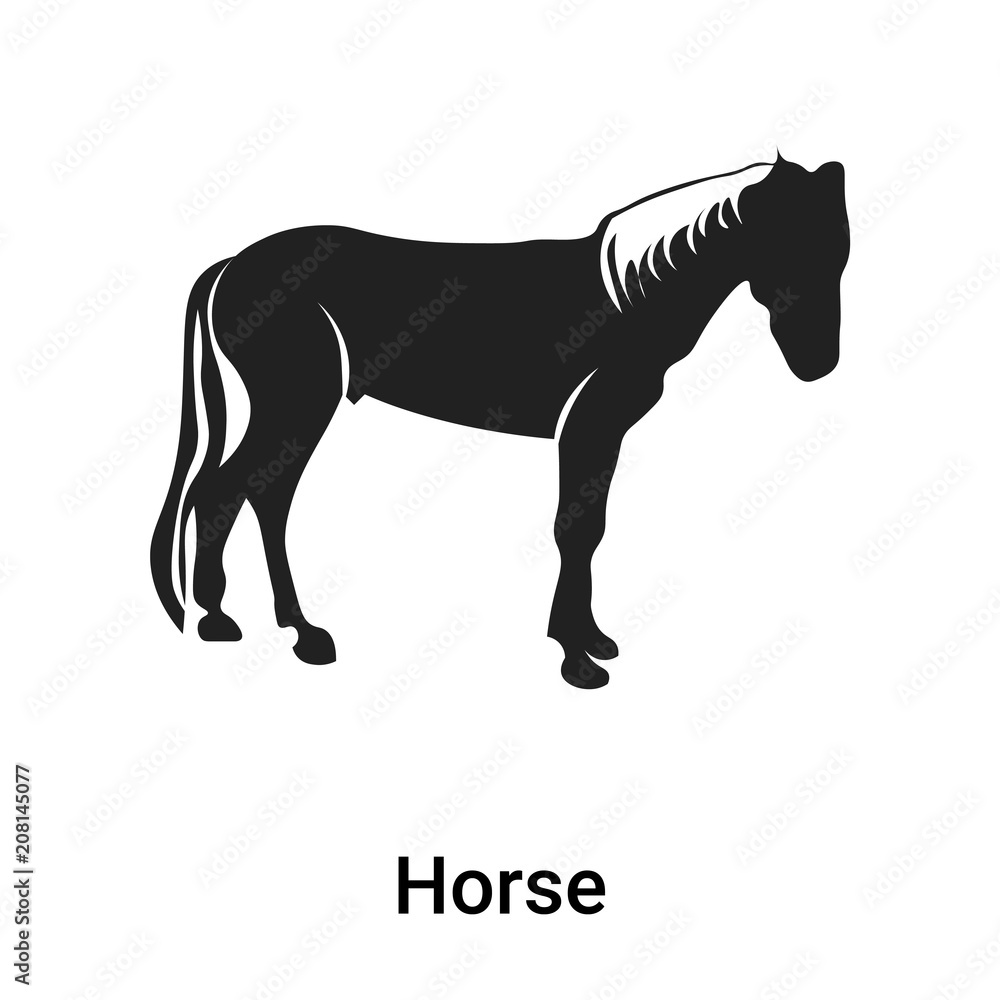 Obraz premium Horse icon vector sign and symbol isolated on white background, Horse logo concept