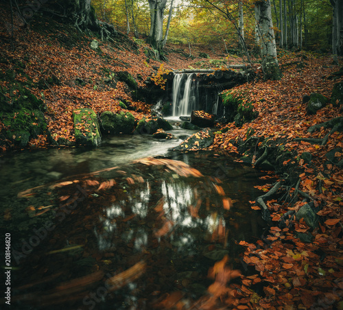 Fototapeta Naklejka Na Ścianę i Meble -  Landscape of a river flow in the mountain forest in autumn.