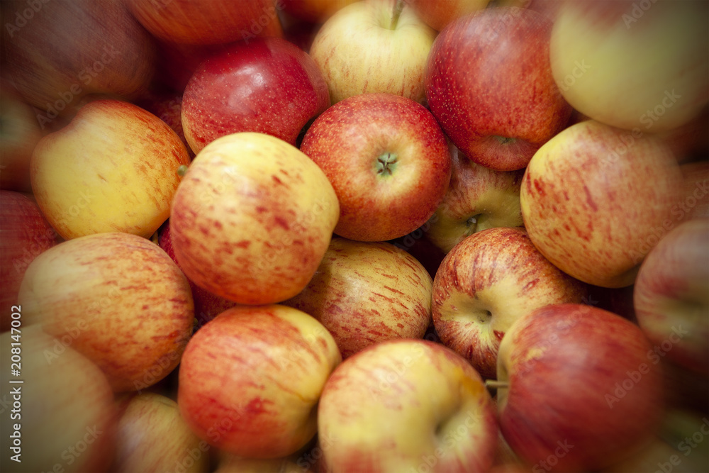 Fresh apples spread out an even layer as a background. Fresh apples spread out an even layer as a background.