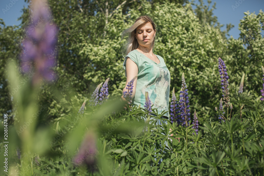 girl is standing in the field of lupines girl is standing in the field of lupines
