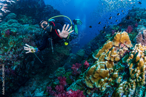 SCUBA diver swimming through tropical fish on a coral reef