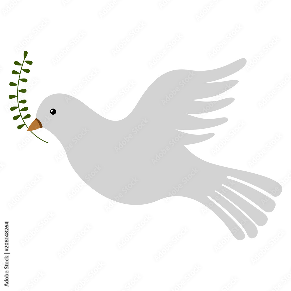 Obraz premium Isolated pigeon icon