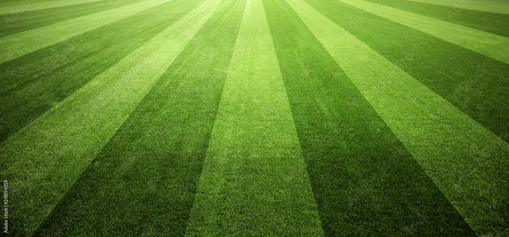 Fototapeta premium Fussballplatz