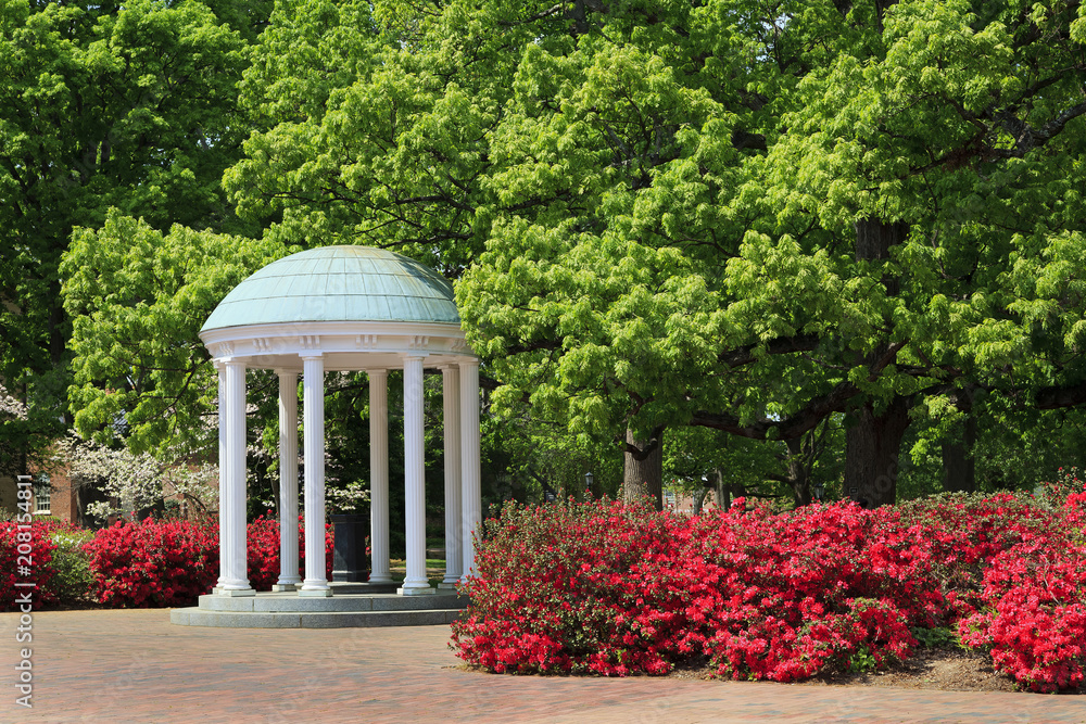 Naklejka premium The Old Well w UNC Chapel Hill wiosną kwitnącą azalią