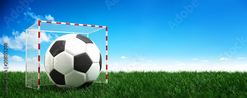 Panorama banner of a soccer ball in a goalpost. 3d Rendering