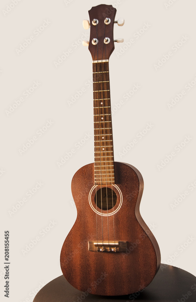 Naklejka premium Ukulele