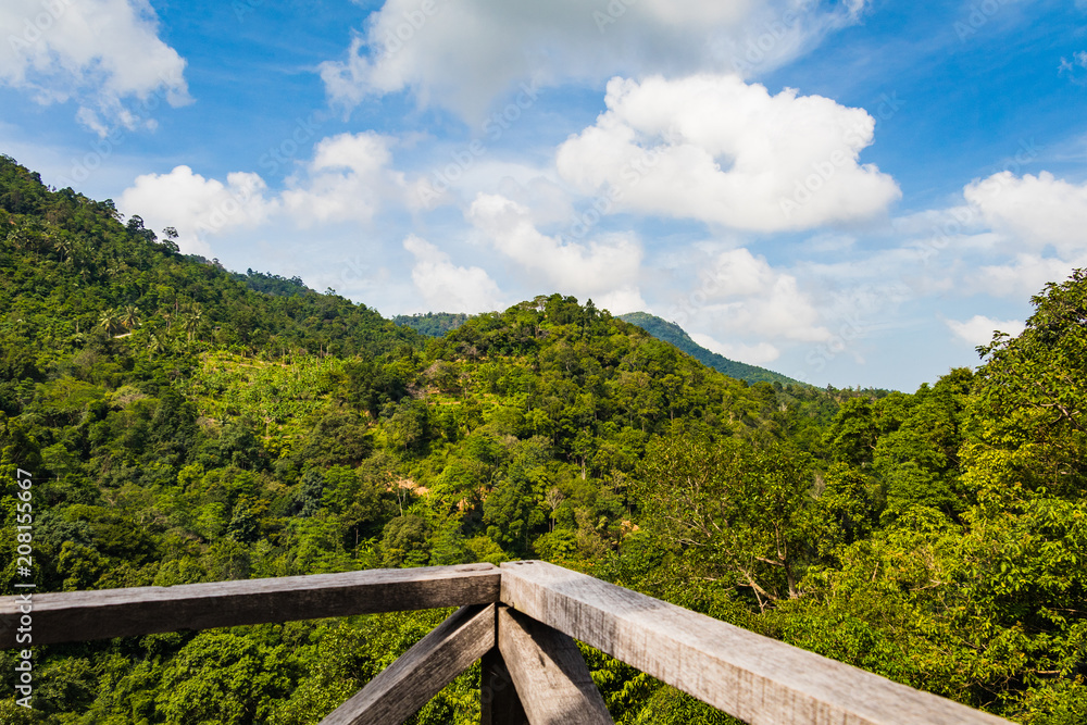 View of a nearby tropical jungle from a wooden construction high above the tree level during a bright sunny day, Koh Samui, Thailand