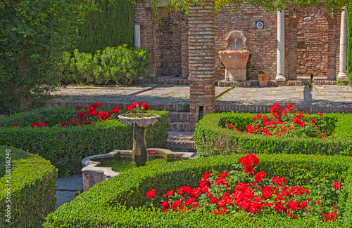 Garden with flowers in the ...