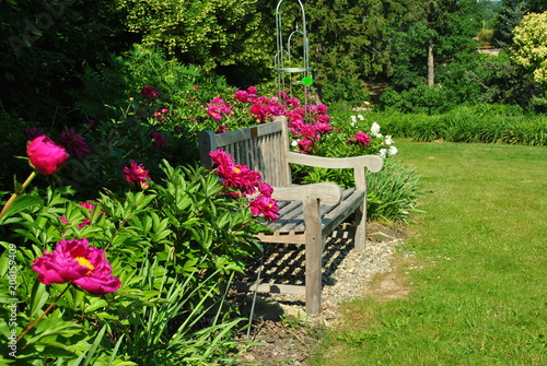 Fototapeta Naklejka Na Ścianę i Meble -  Relaks w ogrodzie