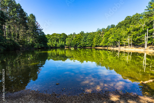 A picturesque small lake in Umbra Forest, a natural reserve part of Gargano National Park and UNESCO World Heritage Site, Apulia, Italy