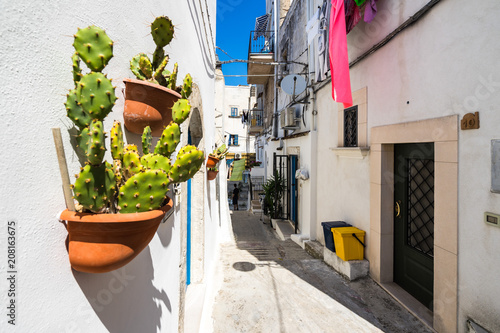 A colorful narrow alley of Peschici, a famous historical and sea resort town in Apulia, Italy