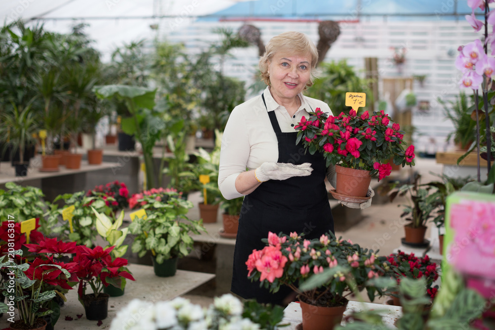 Woman gardener is taking care of flowers near plants