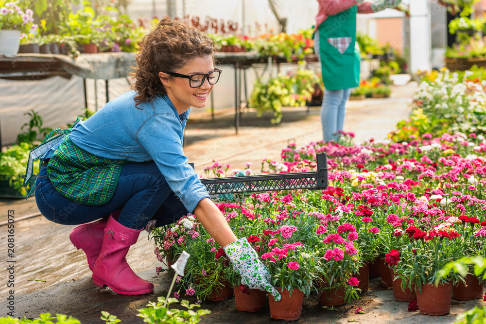 Young woman entrepreneur working in flower garden Young woman entrepreneur working in flower garden