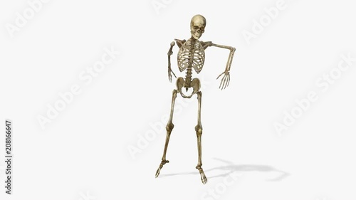 skeleton dance , loop,animation,transparent background