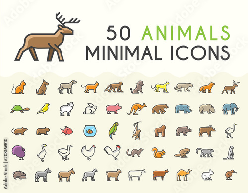 Fototapeta Naklejka Na Ścianę i Meble -  Set of 50 Minimalistic Solid Line Coloured Animal Icons . Isolated Vector Elements