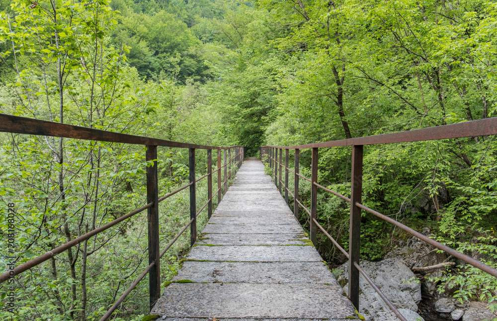 Cement and metal bridge in a forest Wildlife abandoned