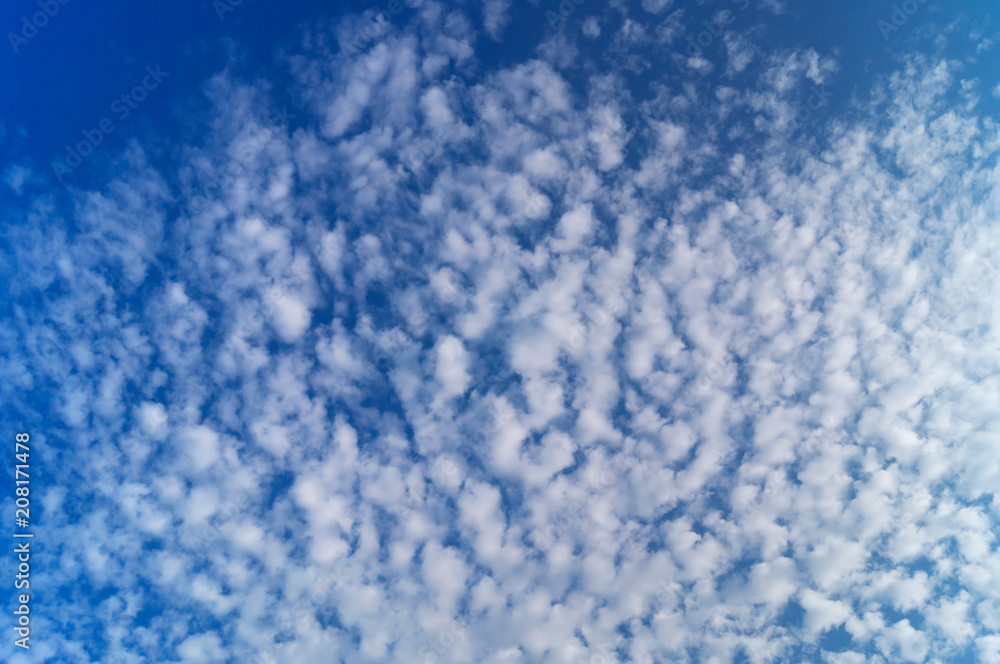 Light cumulus clouds in the sky of a saturated blue color.