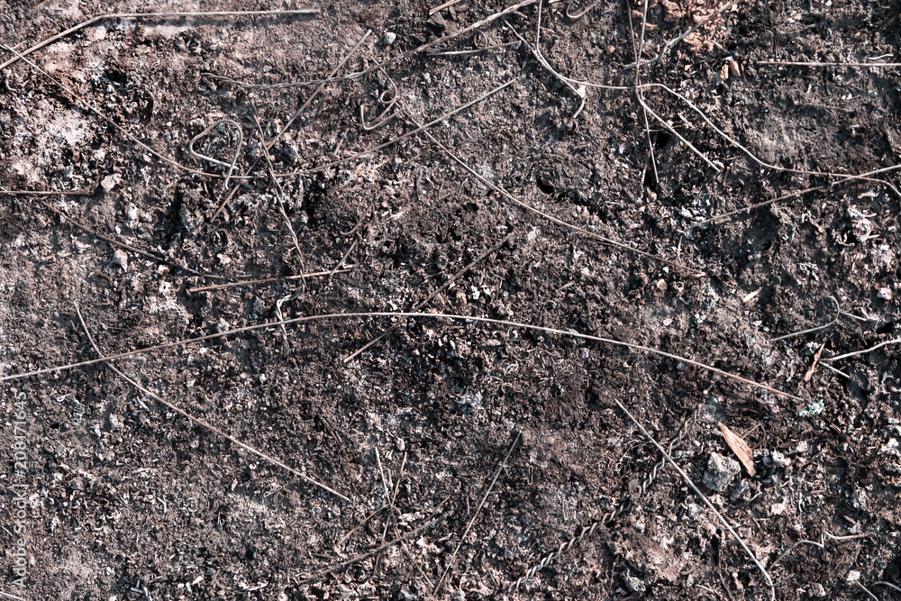The remains of the fire, the texture in gray tones with the presence of ash, wire, nails and twigs.