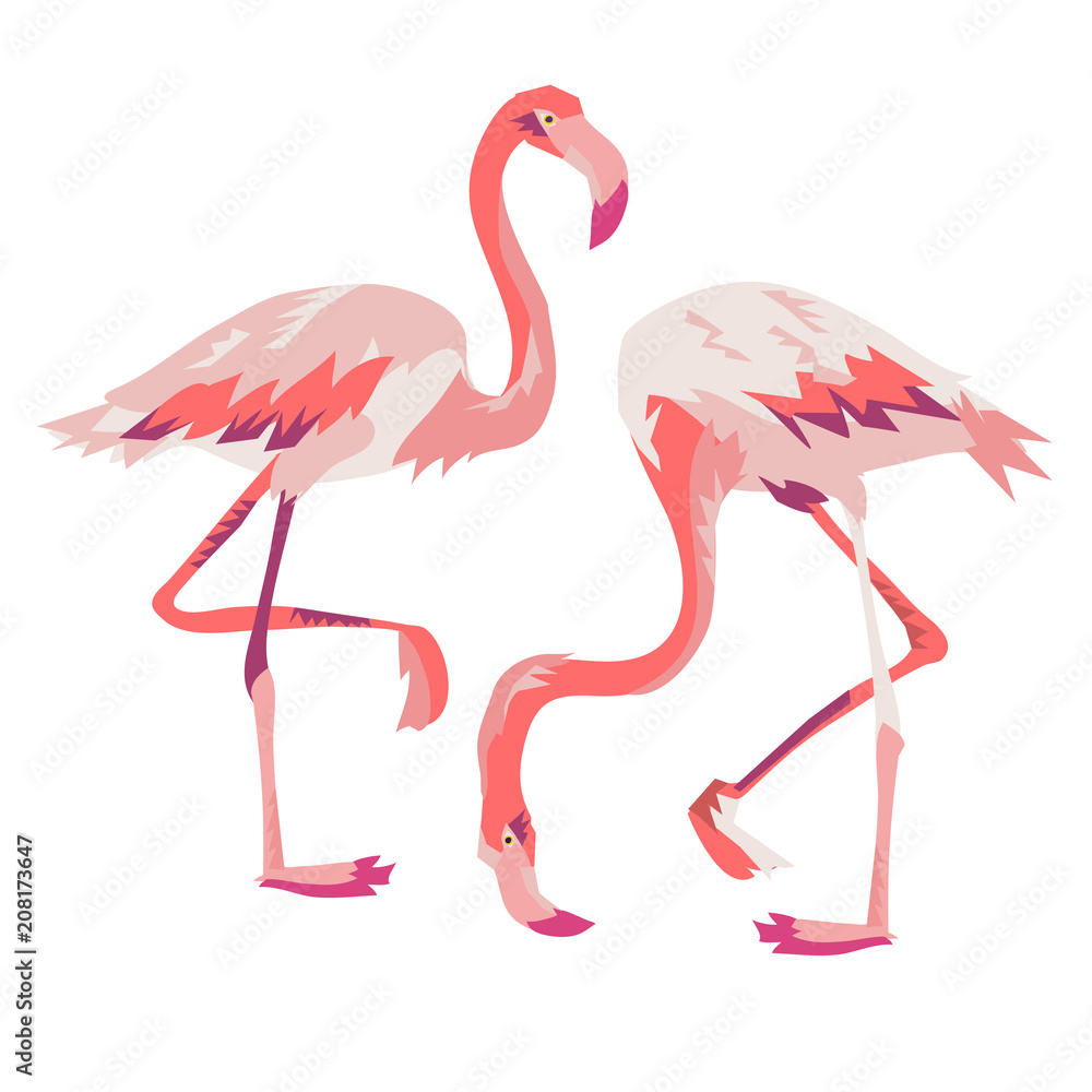 Obraz premium Pink flamingo vector illustration