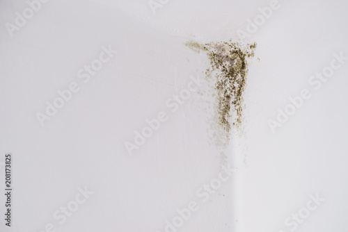 Mold in the corner of light wall