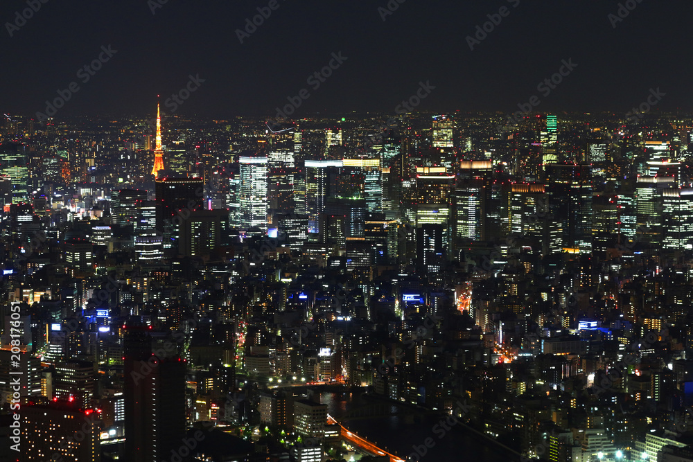 Fototapeta premium 東京スカイツリーから眺める夜景