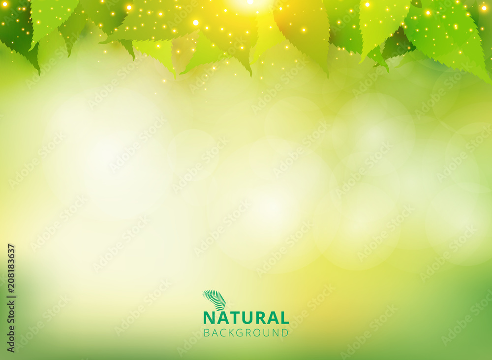 Spring summer natural green background with leaves and lighting effect. Spring summer natural green background with leaves and lighting effect.