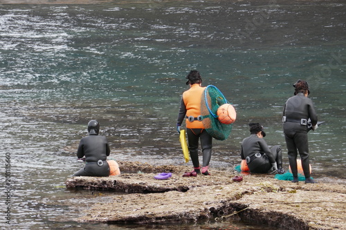Haenyo women divers can hold their breath for 2 minutes and go 20 meters deep to harvest seafood - Jeju Island, South Korea. 