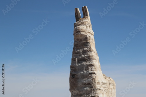 Llama, alpaca, escultura en sal / Salt sculpture