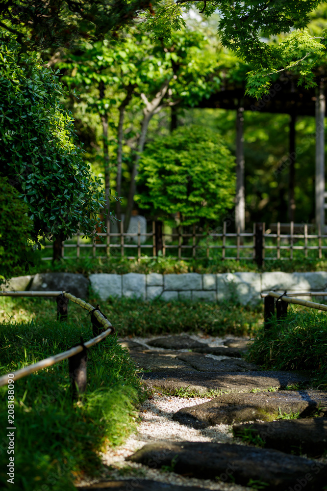 夏の日本庭園