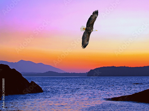 Foto Spectacular Pacific ocean sunset with Bald eagle soaring in the pink sky