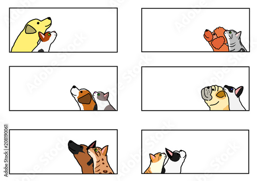 dogs and cats looking up profile banner set