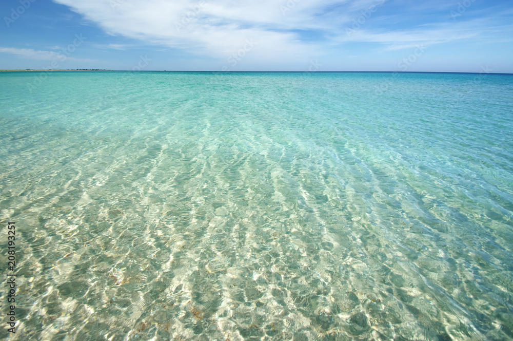 Summer sea beach