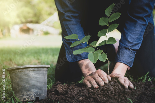 The young man is planting tree to preserve environment