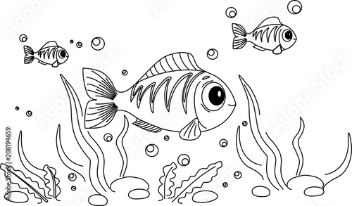 flock of fish