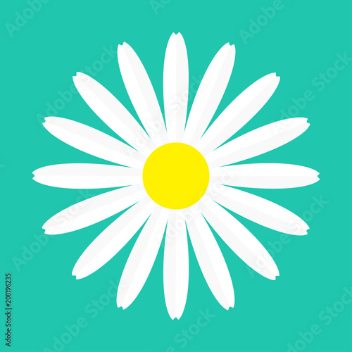 Fototapeta Naklejka Na Ścianę i Meble -  White chamomile daisy flower round icon. Camomile petal. Love card. Growing concept. Cute plant collection. Flat design. Green background. Isolated.