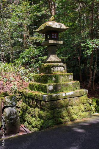 箱根神社 石灯籠