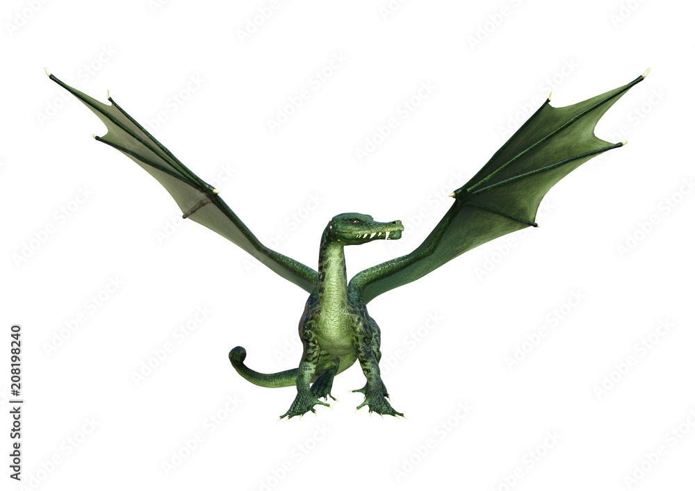 Obraz premium 3D Rendering Fantasy Dragon on White