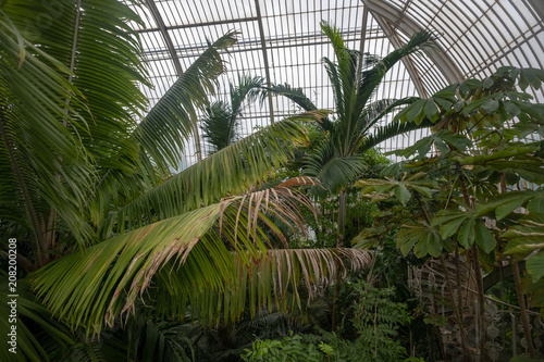 Palm House 